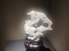 -觀芷隐轩