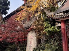 -钦善斋·养生膳食·精典川菜(武侯祠店)