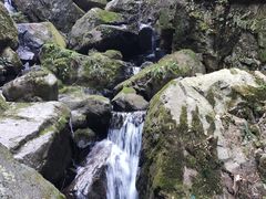 -藏龙百瀑风景区