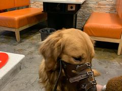 -味之绝热血美蛙鱼火锅(中坝店)