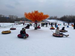-268童话露营农场·烧烤·团建