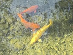 -同和居(什刹海店)