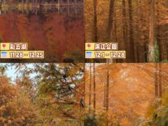 -龙湖重庆时代天街