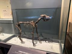 -大庆市博物馆
