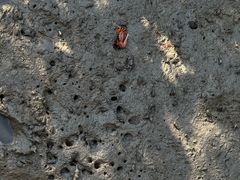 -北海金海湾红树林生态旅游区