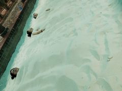 -龙达温泉生态城