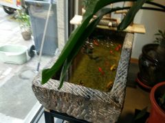 -八月美食小馆(银泰城总店)