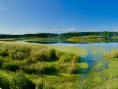 -塞罕坝国家级自然保护区