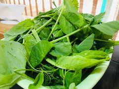 豌豆尖-乐山食古香跷脚牛肉