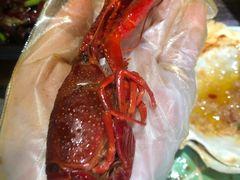 -龙虾风暴(松江店)