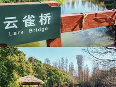 -上海滨江森林公园