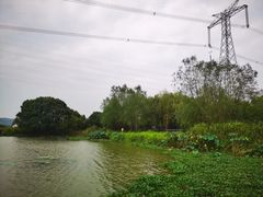 -长田漾湿地公园
