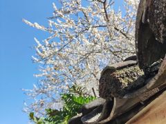 -广州市流溪河国家森林公园