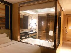 -长沙富力万达文华酒店