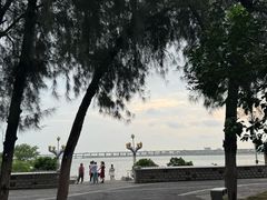 -宝安西湾红树林湿地公园