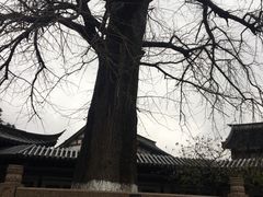 -常熟方塔园
