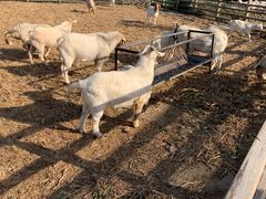 -兴芮温泉度假区