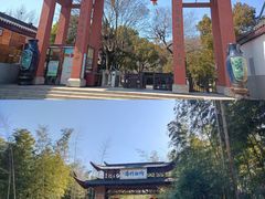 -宜兴龙背山森林公园