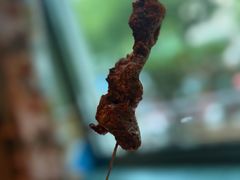 彩色羊肉串-清真吐鲁番餐厅(牛街店)