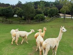 -南京金牛湖风景区