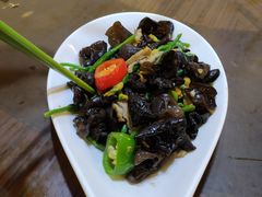 木耳黄瓜苗-园林美食城·本土农家菜(杨和镇店)