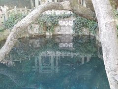 -蝴蝶泉公园