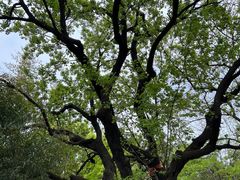 -大连植物园