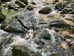 -香炉山国家森林公园