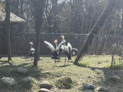 -常州淹城野生动物世界