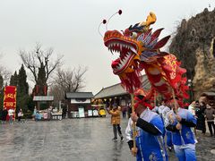 -大槐树寻根祭祖园