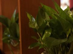 -COSTA COFFEE(新奥购物中心店)
