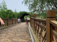 -同里国家湿地公园