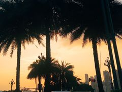 -海棠烟雨公园