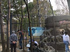 -哈尔滨北方森林动物园