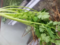 -牛华八婆麻辣烫(起源店)