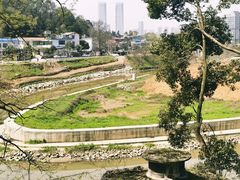 -麓山国际实验学校