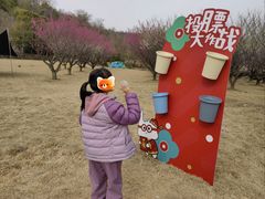 -金钉子远古世界景区