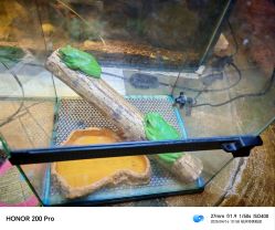 -酷嗒动物文化乐园(cutezoo西溪乐天城店)