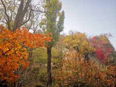 -北京鹫峰国家森林公园
