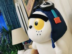-汤姆熊欢乐世界(大连恒隆广场店)