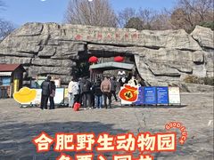 -合肥野生动物园