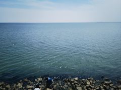 -尚贤河湿地