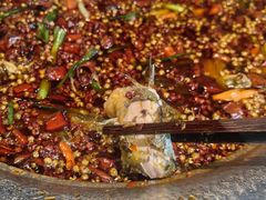 -老船舫·现做活鲜鱼馆(东郊记忆店)