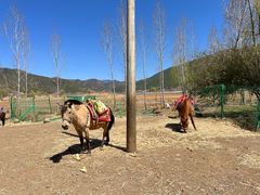 -泸沽湖国家级风景名胜区走婚桥