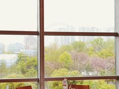 大堂-Acqua海蓝意大利餐厅