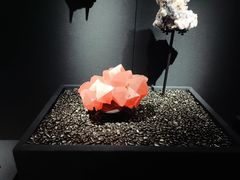 -山东博物馆