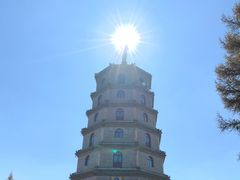 -塞罕坝国家级自然保护区