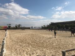 -松声马术俱乐部