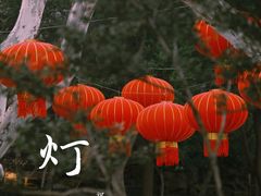 -和平公园