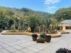 -深圳仙湖植物园